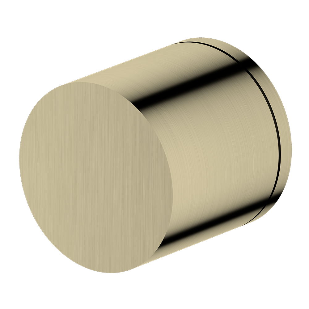 Brushed Gold cylindrical wall mixer handle object on a white background