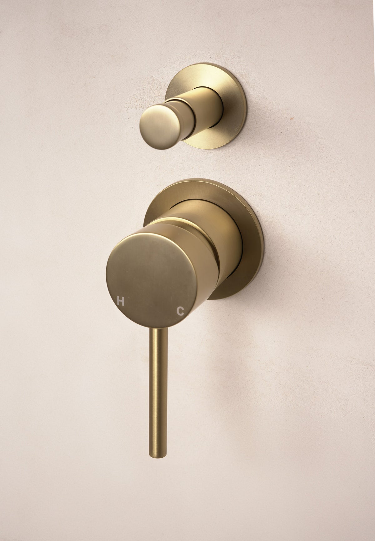 Vera Concealed Diverter